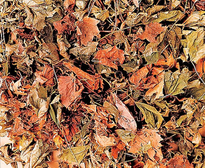 Gid Leafmulch