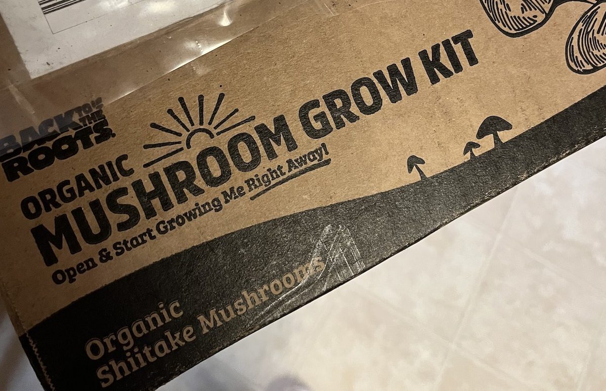 mushroom growing kit