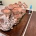 I Tried Growing a Shiitake Mushroom Kit—Here's What Happened