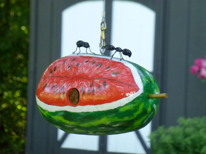 painted birdhouse ideas