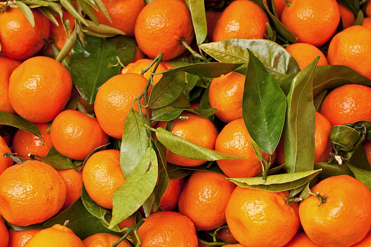 Satsumas