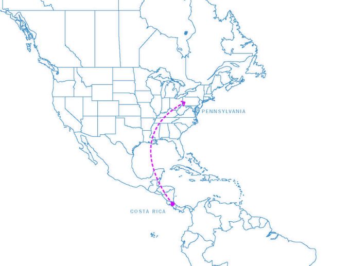 ruby throated hummingbird migration Map Uncropped