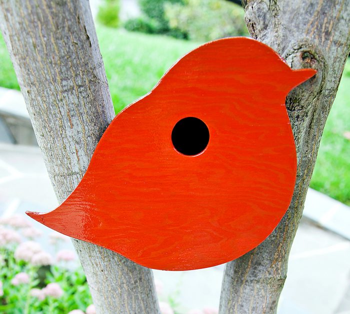 Orangebirdhouse042