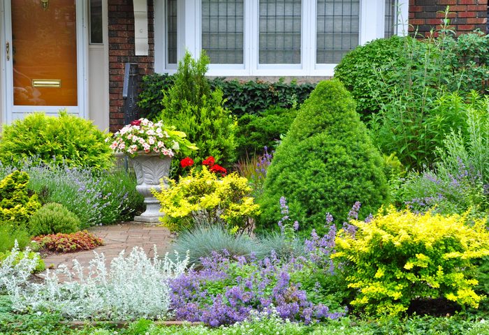 Beautiful front yard garden with no grass