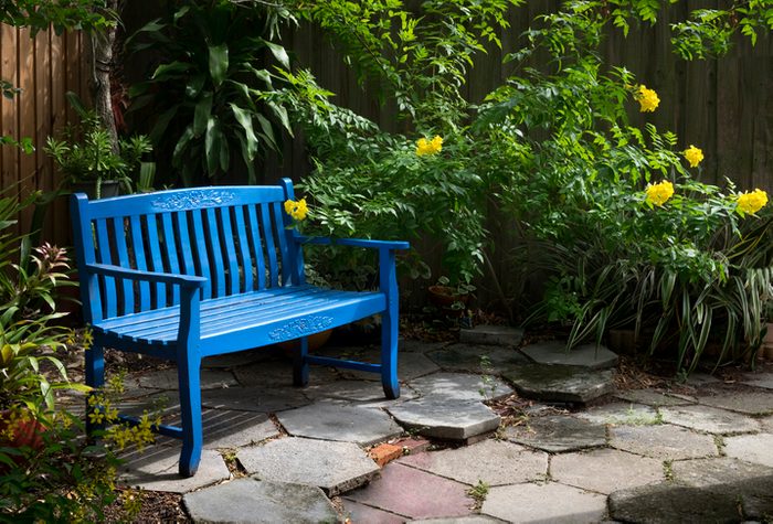 Backyard Garden, Saint Petersburg, Florida
