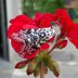 Here’s Where You Can Spot a Giant Leopard Moth