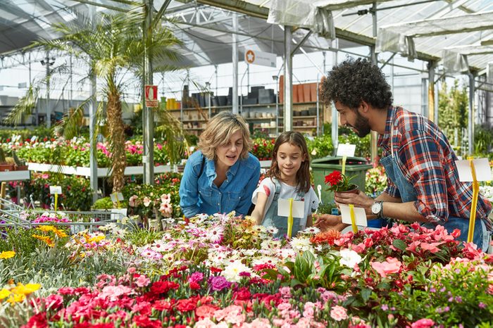 Girl buying plant by mother and worker in nursery