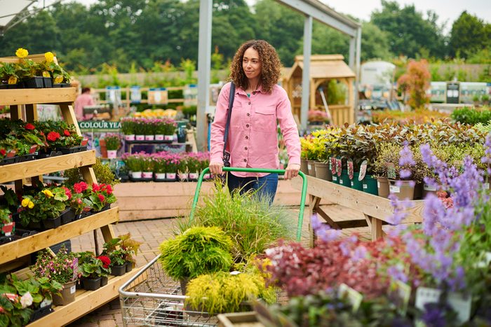 how to pick a plant