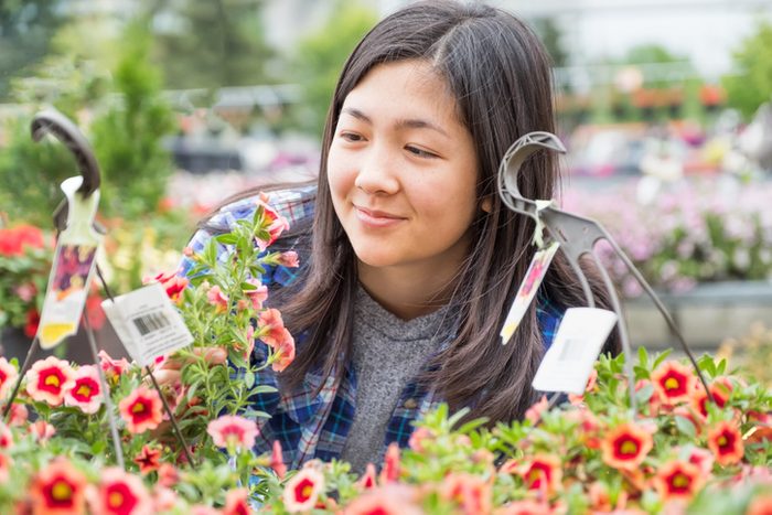 Young, Asian Woman in Garden Center Nursery Examining Hanging Baskets