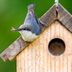 Welcome Feathered Families With Unique Birdhouses