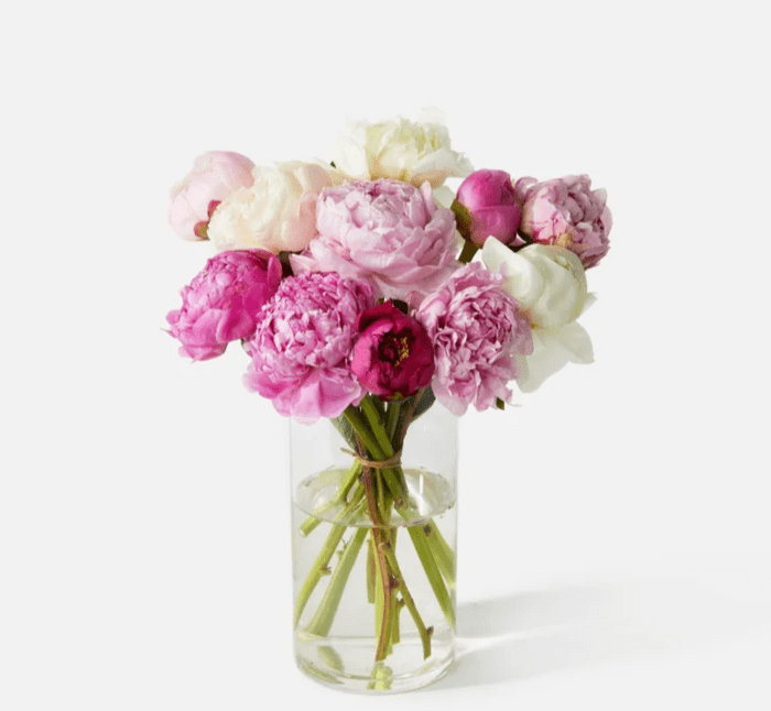 peony arrangements