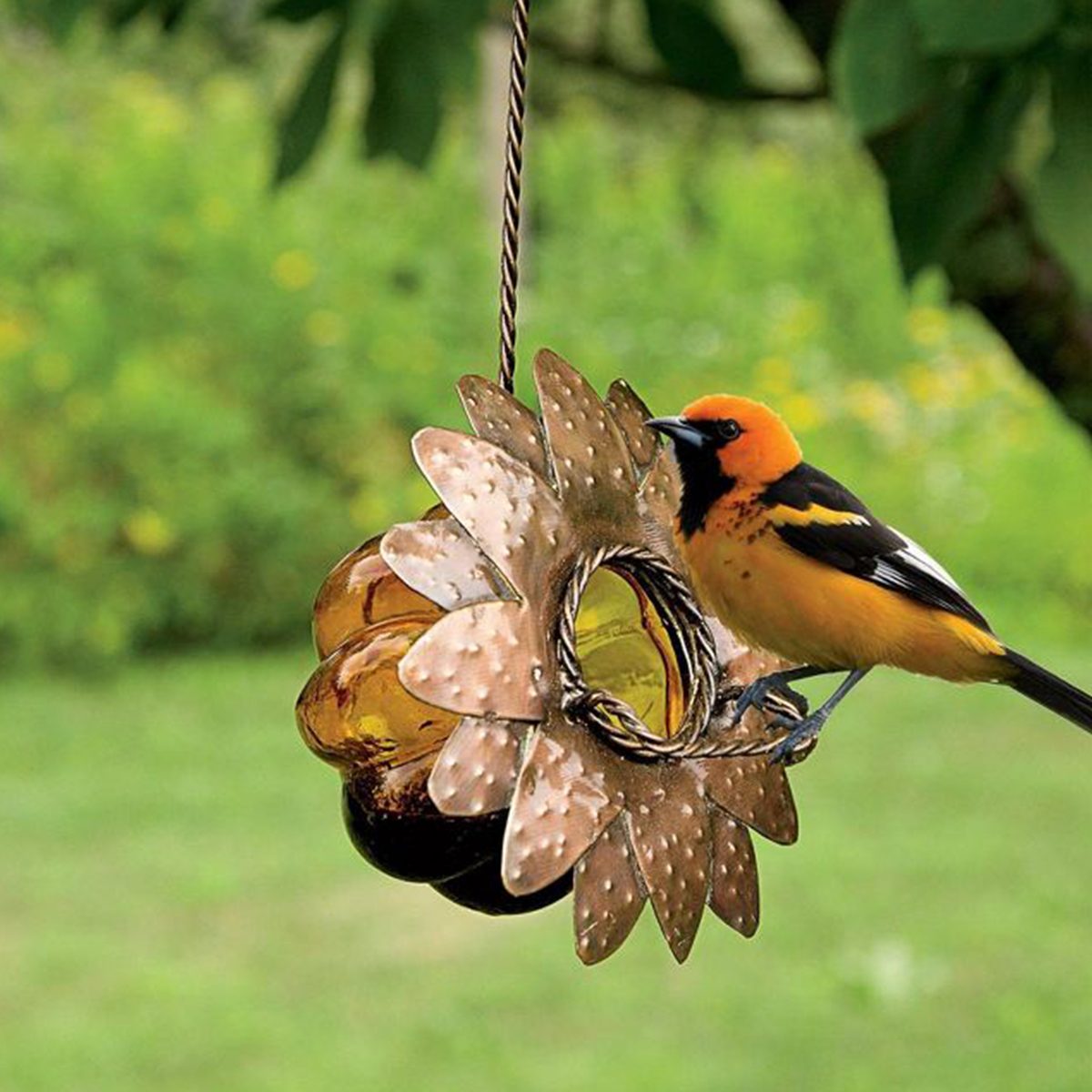 Gardener’s Supply Company Oriole Jelly Feeder