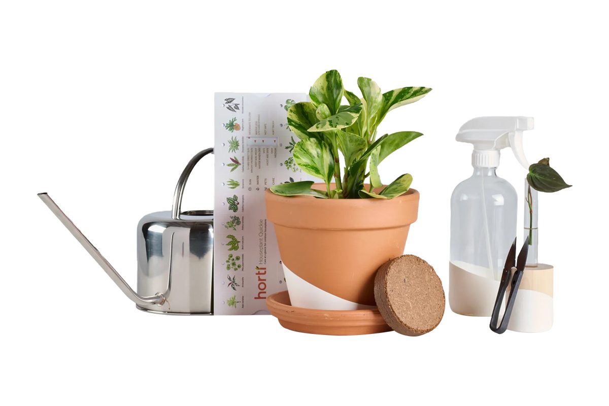 Horti Master Kit Ecomm Heyhorti.com
