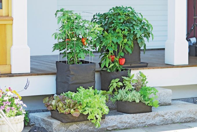 Growbags