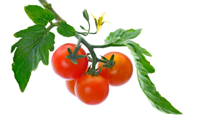 Vine Ripe Tomatoes
