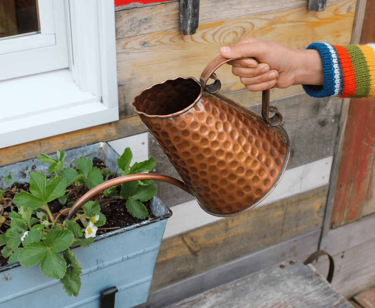 copper watering can