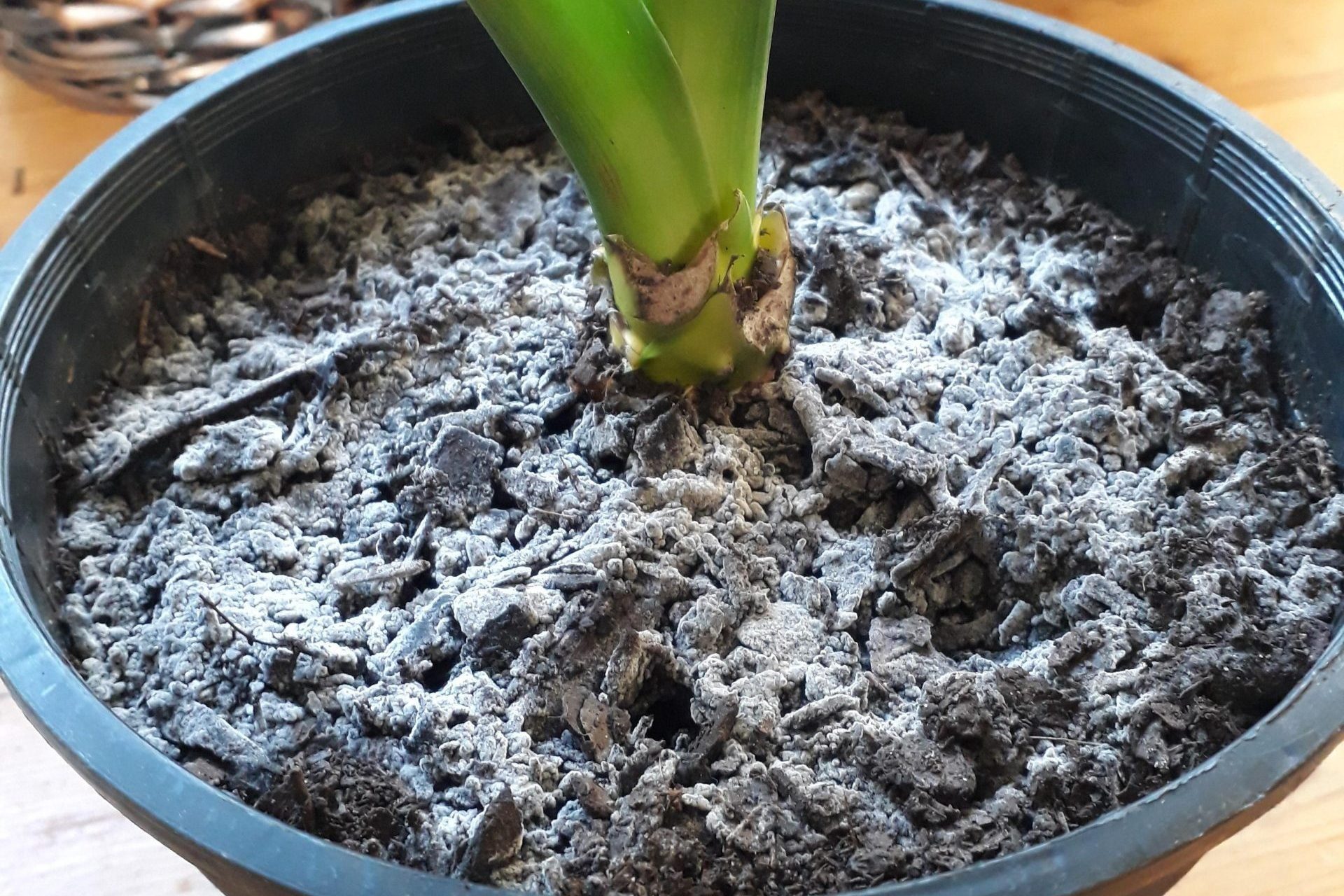 Gray Soil Courtesy Reddit Com