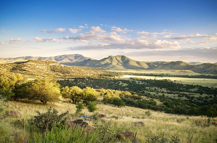 hummingbird travel sites Taken Off Road From Davis Mountains Sp To The Mcdonald Observatory.