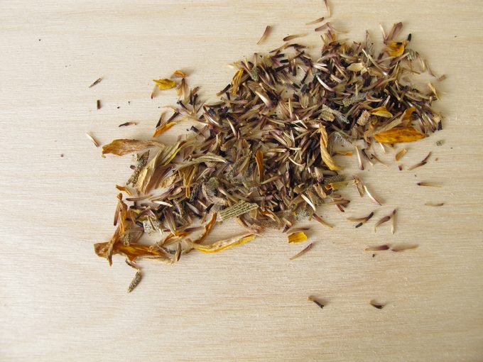 Self harvested seeds from coneflowers
