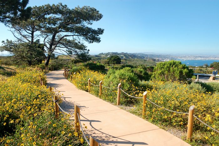 hummingbird travel sites, cabrillo national monument
