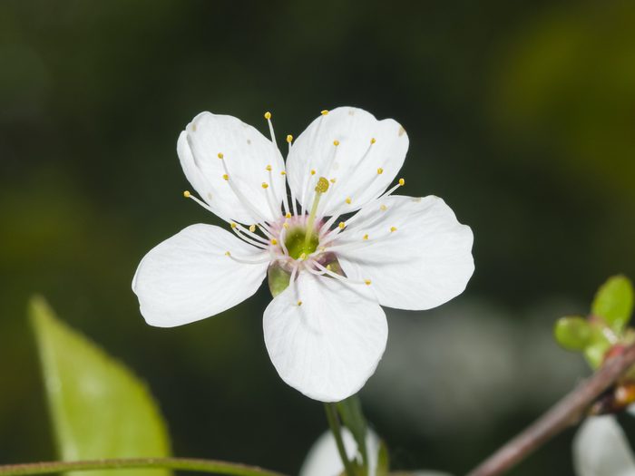 Shutterstock 425193613