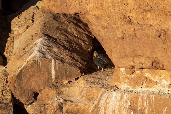 Southwest Faces Severe Drought Conditions