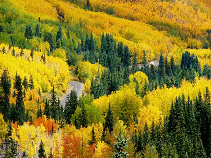 Shutterstock 216752