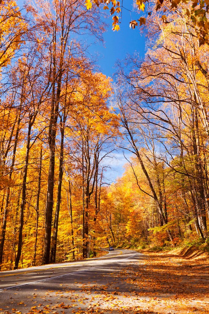 why do leaves change color in fall