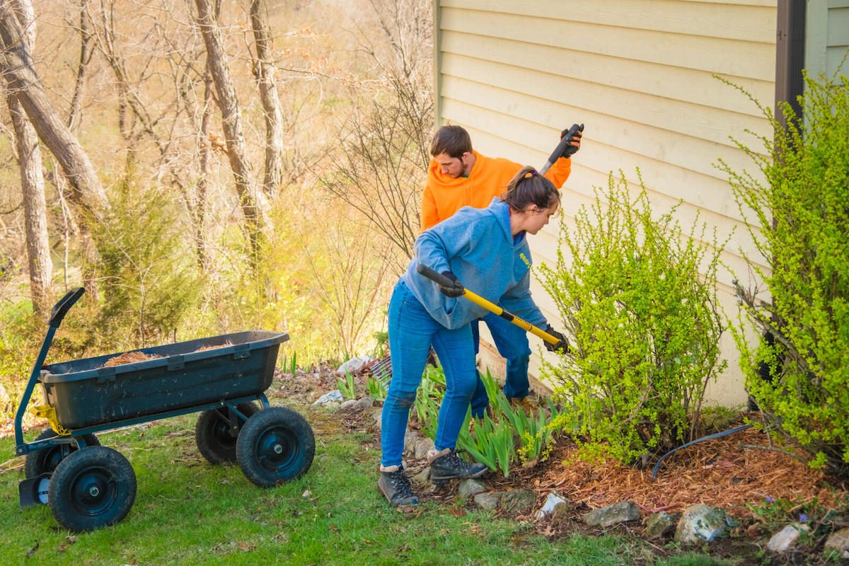 how to improve your soil before winter