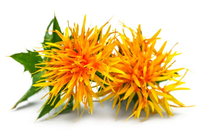 birdseed plants, safflower