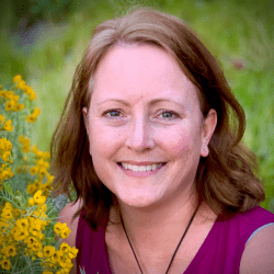 Lisa Meyers McClintick