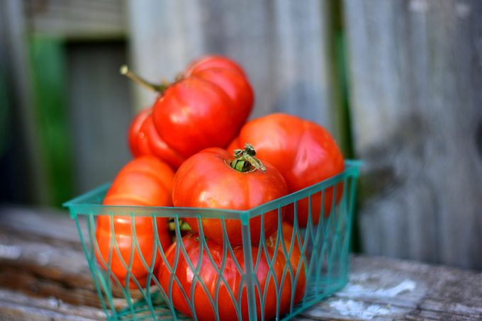 Costoluto Genovese Tomato