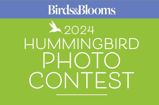 2024 Hbird Photocontestlogo 628x416 2024