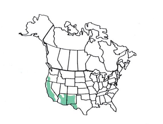 Acornwoodpeckerrangemap