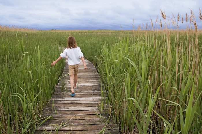 Girl Walking On A Boardwalk Among The Reeds And Grasses Of A Marsh On A Cloudy Day