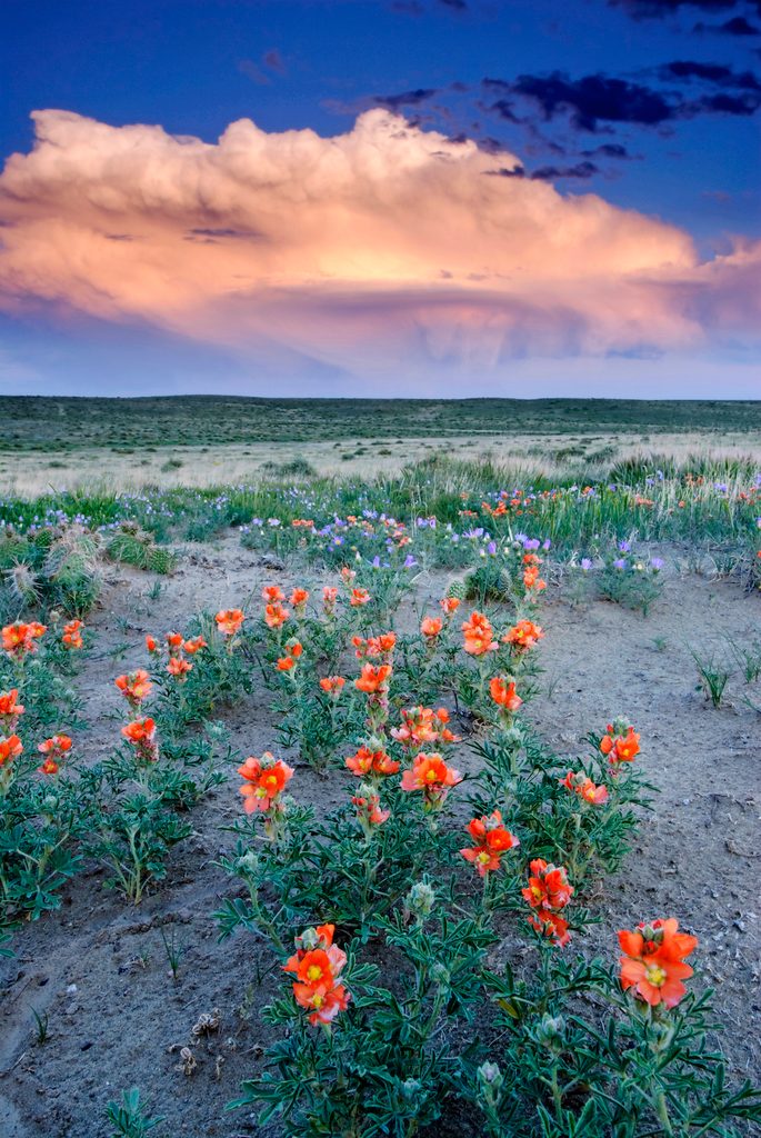Storm On The Prairie