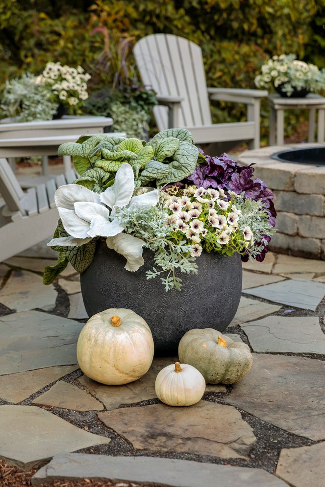 Fall Scene Featuring Silver And Purple 033 0