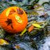 Never Throw Away Your Jack-o'-Lantern—This Is Why