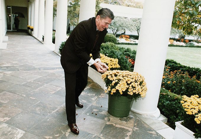 Ronald Reagan Feeding Unseen Squirrels