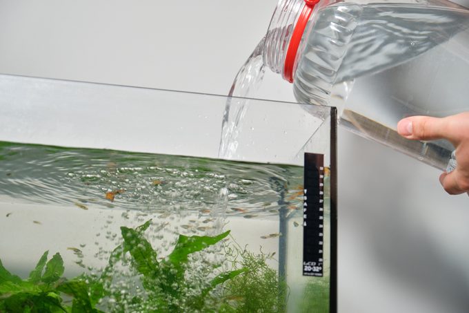 Close up of hands adding water to fill freshwater aquarium.