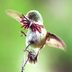 15 Bizarre and Surprising Bird Facts You Should Know