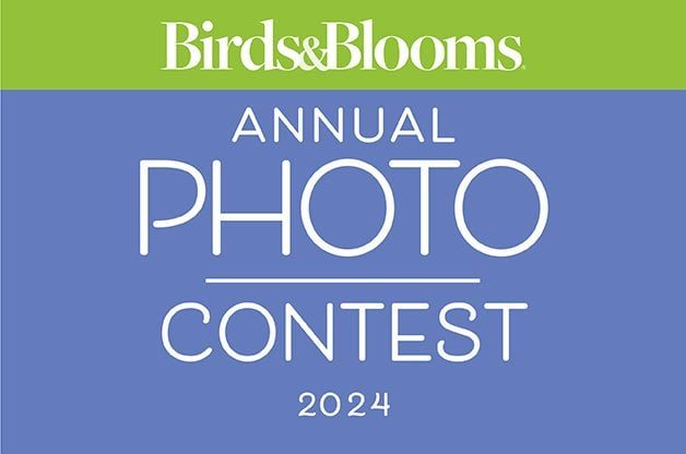 Bnb Photocontestlogo Web 628x416 2024 1