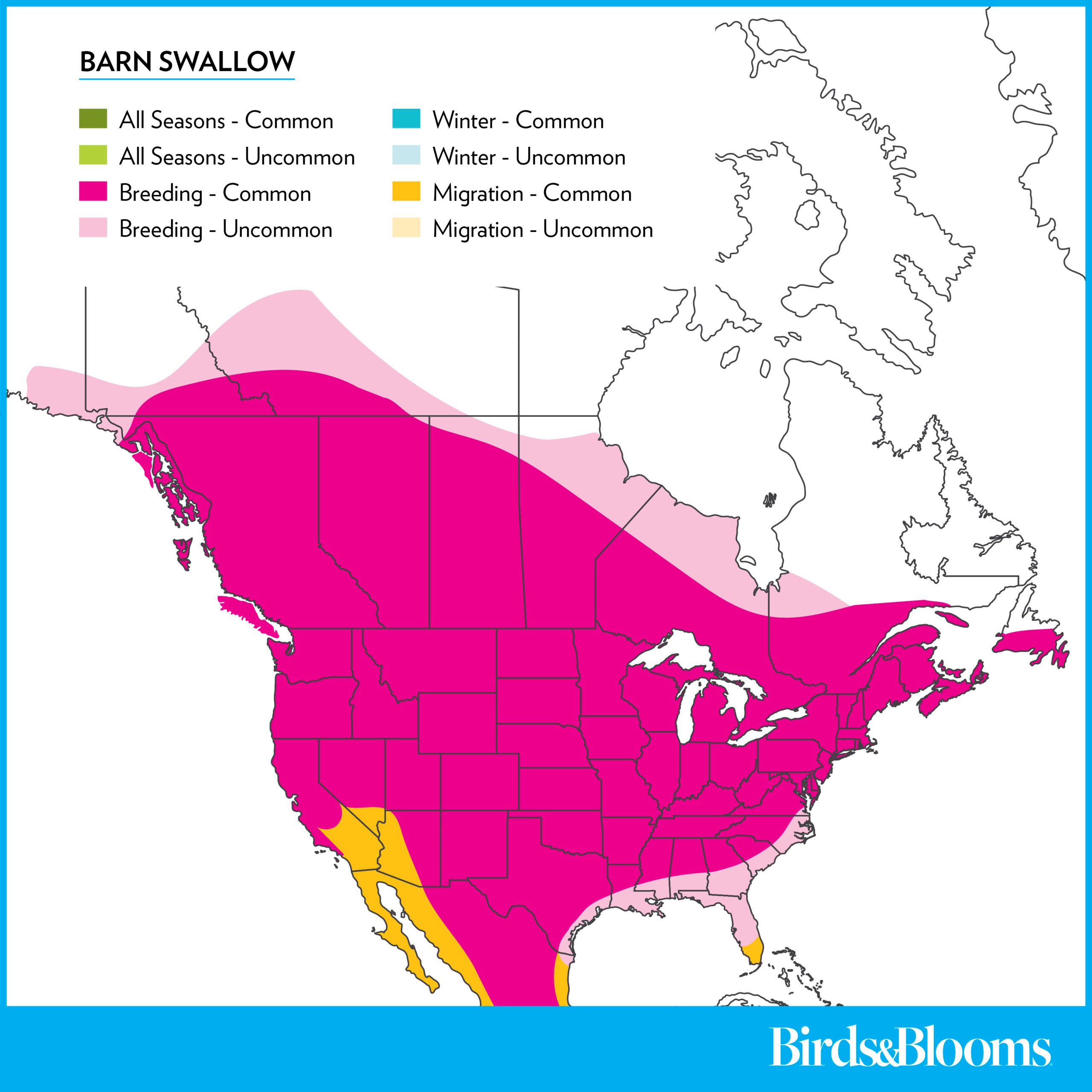 Barnswallow Rangemap 2025