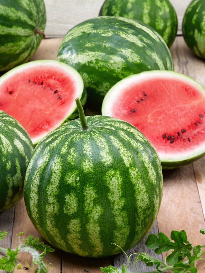 Citrullus Crimson Suits