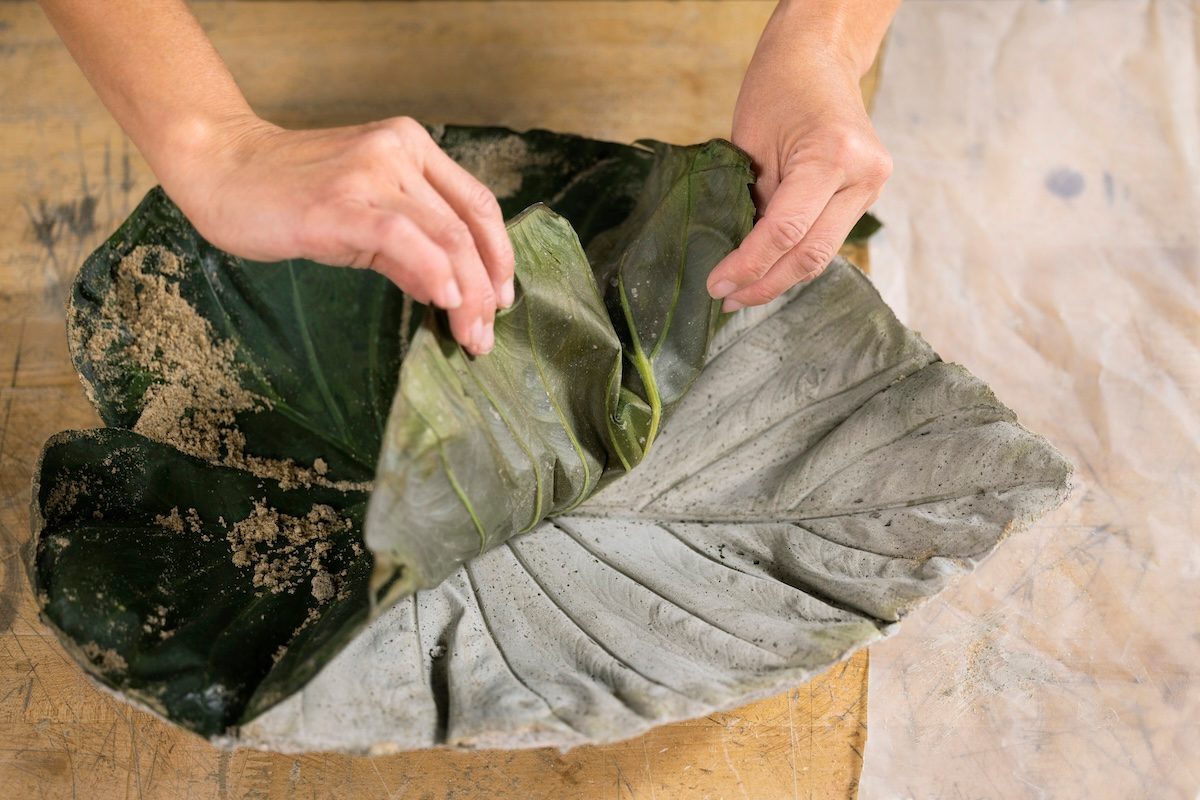 Fhm23 Bird Bath Dr 10 23 08 1