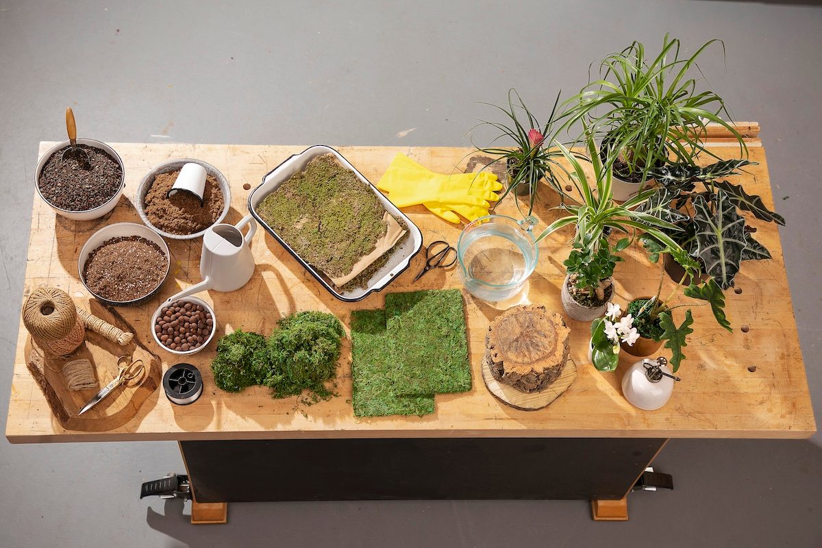 Overhead Shot Of All Ingredients; Wooden Surface;