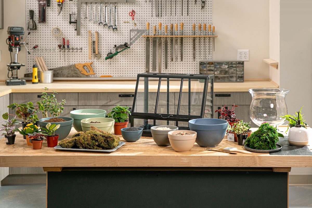 how to make a terrarium