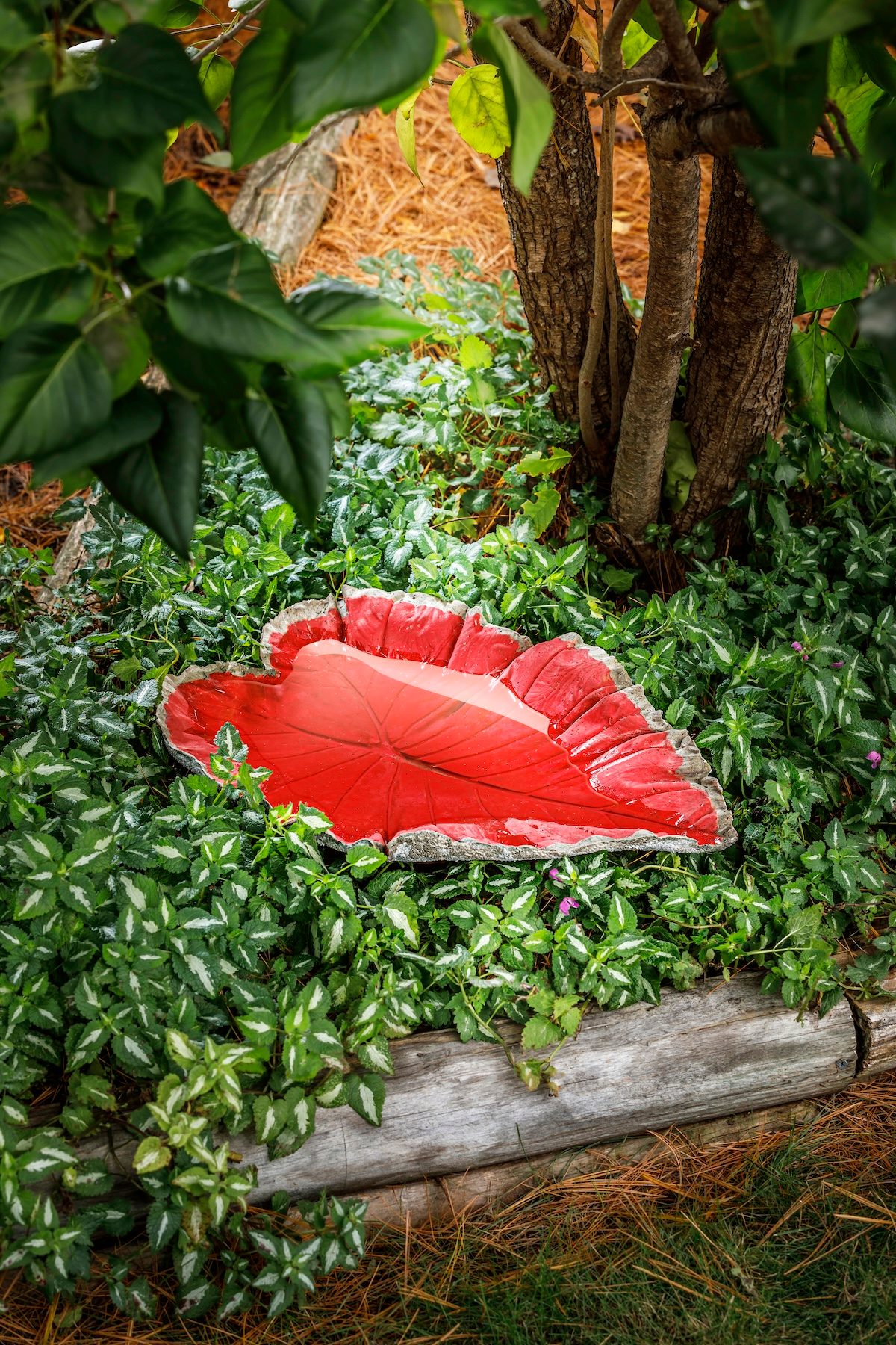 Fhm Bird Bath Ef 12 14 23 V2 diy concrete leaf birdbath