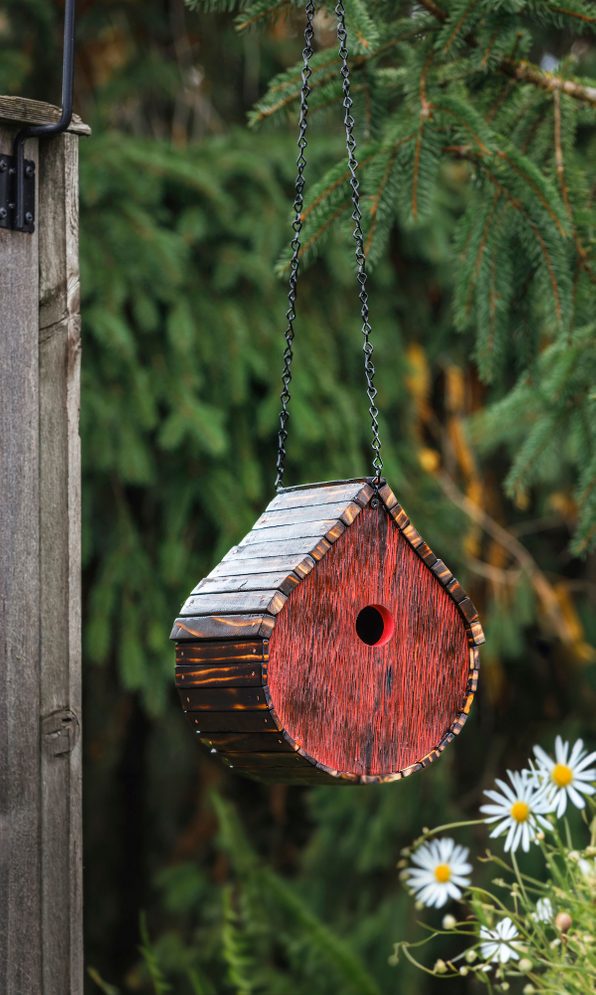 wren birdhouse plans