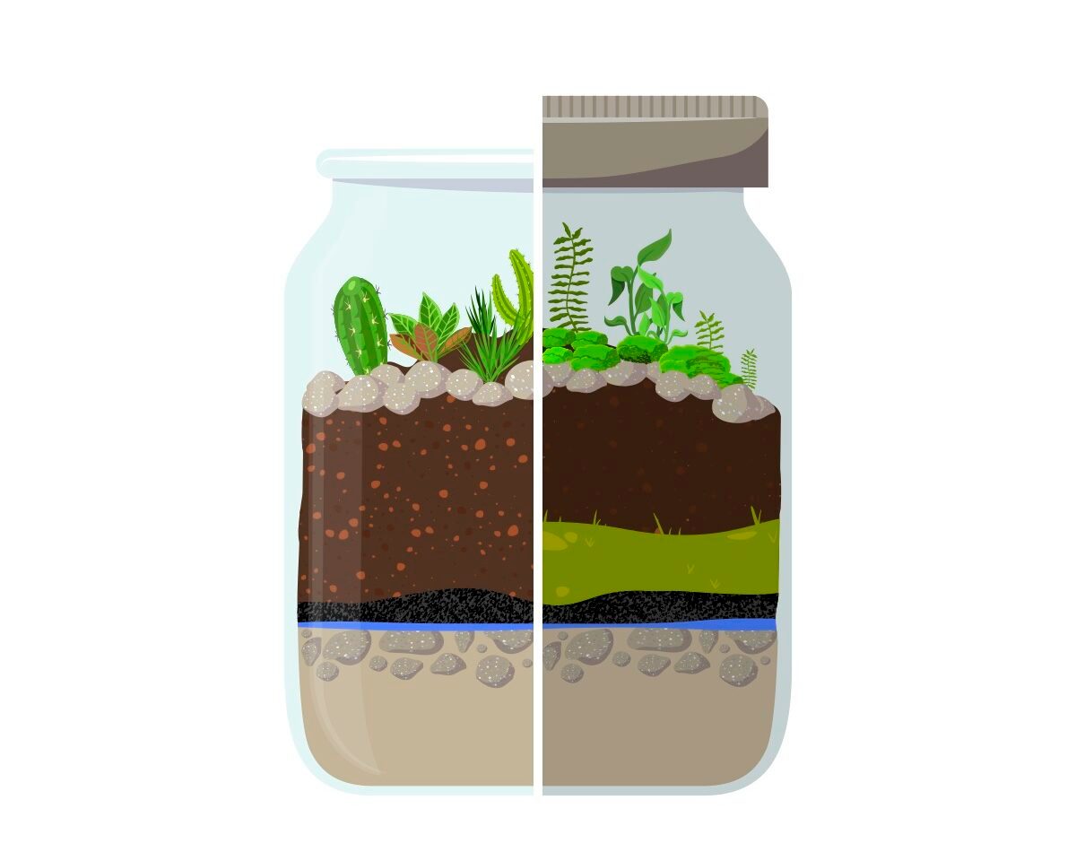 How To Make A Terrarium Graphic